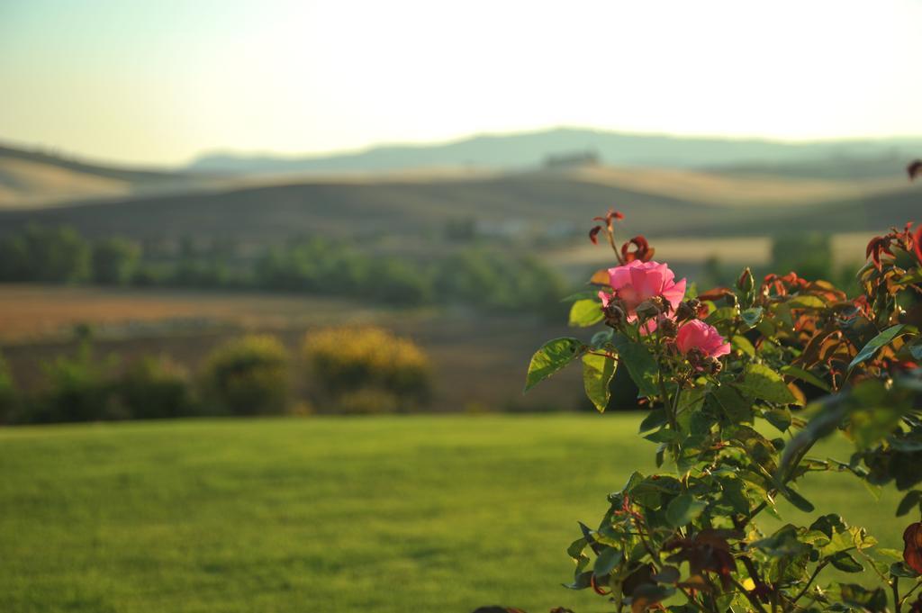 L'Olmo Bed and Breakfast Monticchiello Εξωτερικό φωτογραφία